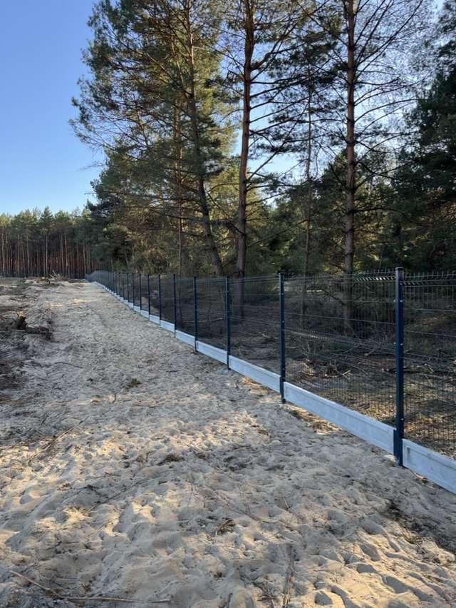 Stalowe ogrodzenie panelowe poprowadzone wzdłuż skraju lasu