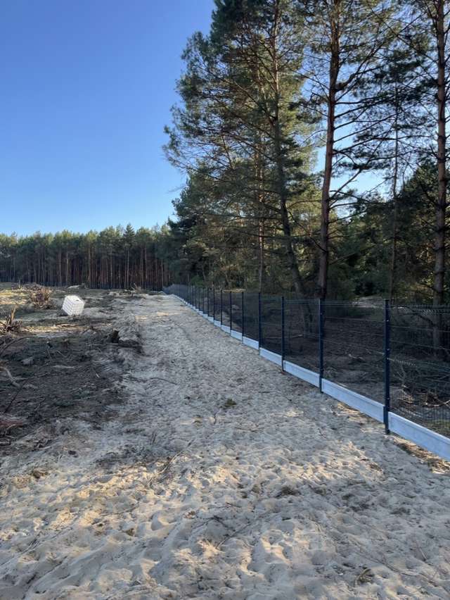 Panele ogrodzeniowe z podmurówką między piaszczystym placem a drzewami